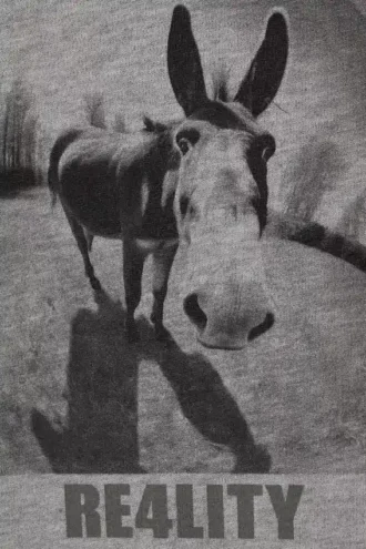 Camiseta con estampados de corte recto – Gris – Donkey Reality