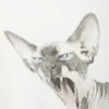 Camiseta estampada oversize ancha – Blanco – Gato Sphynx Camiseta estampada oversize ancha – Blanco – Gato Sphynx