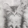 Camiseta oversize estampada – Gatitos Camiseta oversize estampada – Gatitos