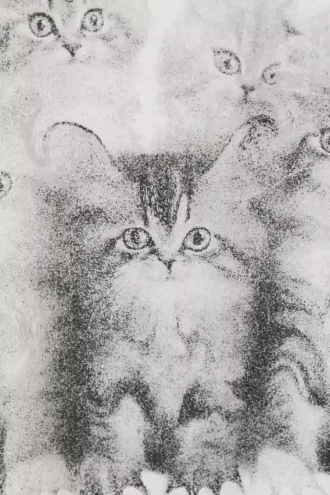 Camiseta oversize estampada – Gatitos