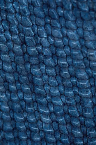 Jersey Tina – Negro y azul