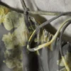 Minivestido de sarga con lazo en la espalda – Gris – Estampado floral